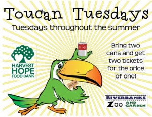 Toucan Tuesdays Summer Deal Riverbanks Zoo 